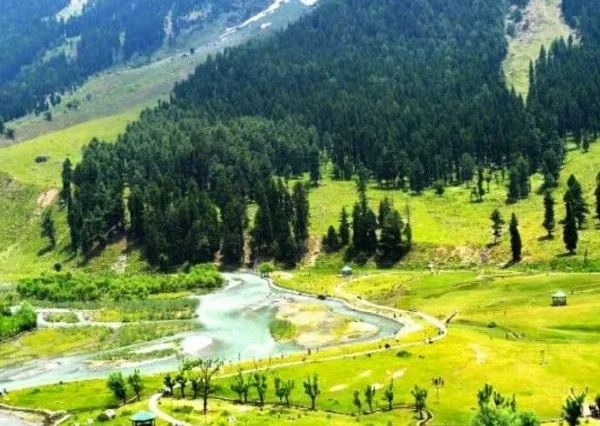 Kashmir Budget Family Tour: 3 Nights/4 Days - Srinagar to Gulmarg and Local Exploration