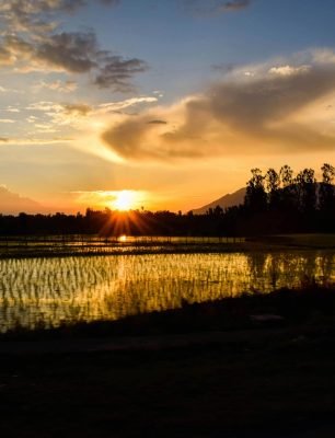 pexels-aashish-bhardwaj-257084-786946 (1)