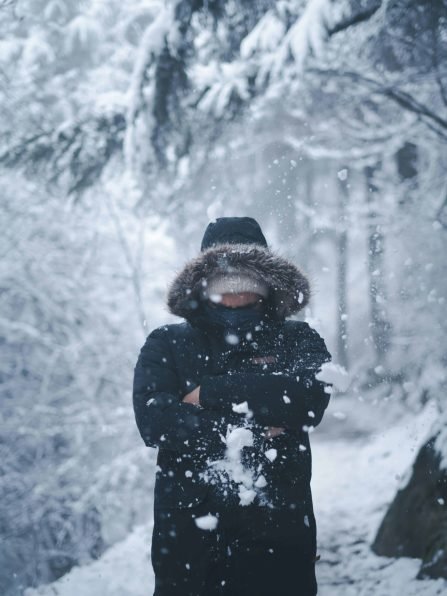 pexels-wanderinglenses-30290325 (1)